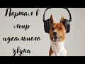 Видео - Наушники Sennheiser HD 206 - портал в мир идеального звука