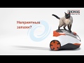 Видео - Thomas DryBOX+AquaBOX Cat&amp;Dog для владельцев животных и не только