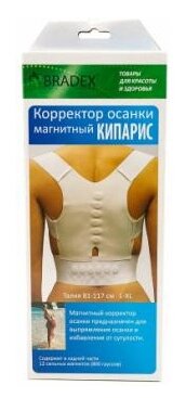 Корректор осанки BRADEX Кипарис - фото 4