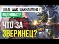 Видео - Обзор игры Total War: Warhammer 2