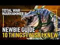 Видео - 10 Things I Wish I Knew Before Playing Total War: Warhammer II - A Newbie Guide | HForHavoc