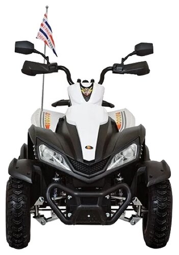 Dongma Квадроцикл ATV DMD-268A - фото 1