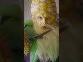 Видео - Sigma Kernel Corn?!? #pvz  #sigma #pvzgw2