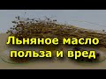 Видео - Льняное масло польза и вред.