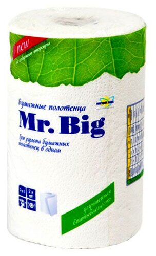 Полотенца бумажные Мягкий знак Mr.Big белые двухслойные - фото 5