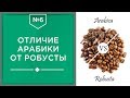 Видео - Различия Арабики и Робусты | Какой кофе лучше и в чем разница☕