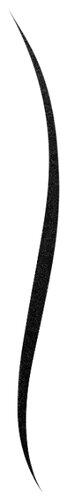 Bourjois Подводка для глаз Liner Pinceau 16h - фото 3