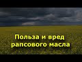 Видео - Польза и вред рапсового масла.  Вред рапсового масла