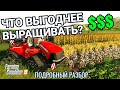 Видео - Что выгоднее всего выращивать | Подробный разбор | Farming Simulator 19