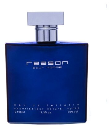 Туалетная вода PontiParfum Reason pour Homme - фото 1