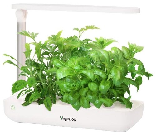 Набор для выращивания VegeBox Настольная садовая ферма - фото 1