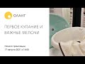 Видео - ПРЯМОЙ ЭФИР: Выбор ванночки и нужные мелочи в уходе за малышом