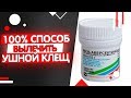 Видео - Лечение ушного клеща у кошек и собак проверенная схема