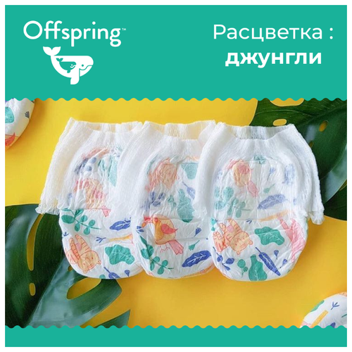 Offspring трусики L (9-14 кг) 36 шт. - фото 5