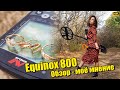 Видео - Металлоискатель Equinox честный обзор стоит ли брать 600 или 800 Реальные советы, плюсы и минусы!