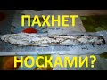 Видео - Реакция мужа на ... S04E12. Испанская колбаса Fuet