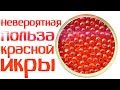 Видео - Красная икра входит в 3ку самых полезных продуктов на земле! Польза красной икры человека?!