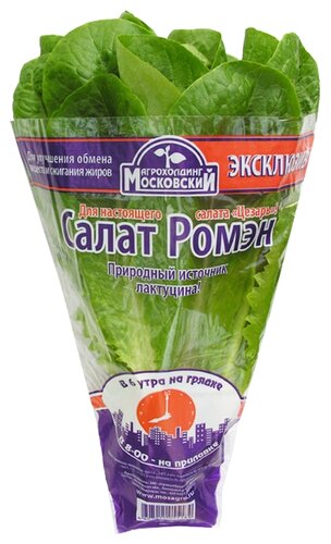 Агрохолдинг Московский Салат Ромэн в горшочке, пакет полиэтиленовый (Россия) - фото 1