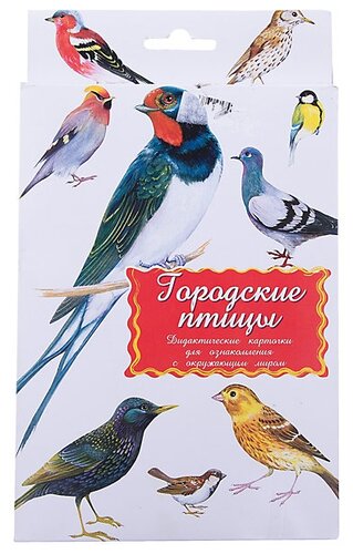 Набор карточек Маленький гений Городские птицы 21x15 см 16 шт. - фото 1