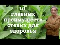 Видео - 10 главных преимуществ стевии для здоровья