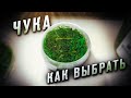 Видео - ВЫБИРАЕМ САЛАТ ЧУКА!!! ЧУКА ИЗ МАГАЗИНА!!!