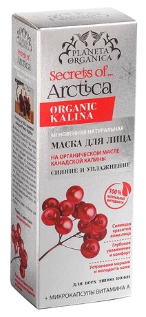 Planeta Organica Мгновенная маска Secrets of Arctica Сияние и увлажнение - фото 1