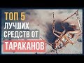 Видео - ТОП 5 лучших средств от тараканов: итоги испытаний в 2018 году