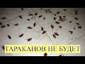 Видео - Многие и не знают, что от ТАРАКАНОВ можно избавиться так