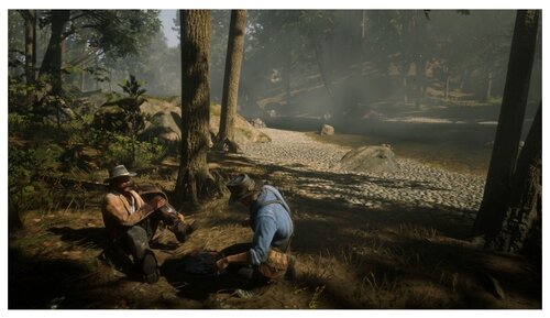 Red Dead Redemption 2 - фото 5