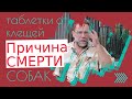 Видео - СМЕРТЕЛЬНО ОПАСНЫЕ ТАБЛЕТКИ ОТ КЛЕЩЕЙ | как и чем уберечь собак от клещей