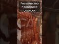 Видео - Роскачество проверило сосиски