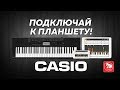 Видео - CASIO CTK-3500 - самый дешевый синтезатор с активной клавиатурой