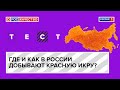 Видео - Где и как в России добывают красную икру?