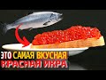 Видео - Топ 10 Самых Вкусных Видов Икры | Самая Вкусная Красная Икра | Как Выбрать Красную Икру