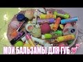 Видео - Моя Коллекция Бальзамов Для Губ/My lip balm collection 💄