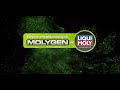 Видео - Low-Friction Engine Oil | High Shear Stability | Wear Protection | Molygen | @LiquiMolySouthAfrica