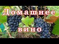 Видео - Лучшее ДОМАШНЕЕ ВИНО! Мои Винные сорта винограда!