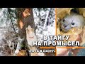 Видео - СОБОЛЬ НА ДЕРЕВЕ, СОБАКА В ЗАПАДНЕ