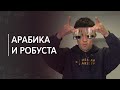 Видео - Основные виды кофе: арабика и робуста