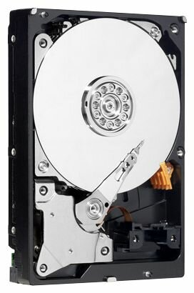 Жесткий диск Western Digital WD Caviar Green 800 GB (WD8000AARS) - фото 1