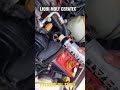 Видео - How to use LIQUI MOLY CERATEC Oil Additive (3721) #shorts