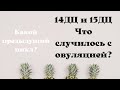 Видео - 14 15 день цикла  Тесты на овуляцию  Сравнение с предидущими циклами