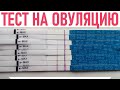 Видео - ЧТО НУЖНО ЗНАТЬ ОБ ОВУЛЯЦИИ | Как определить овуляцию и повысить шансы на зачатие ребенка