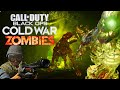 Видео - CoD BO Cold War обзор на зомби режим