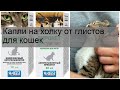 Видео - Капли на холку от глистов для кошек