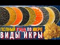 Видео - Полный Гид по Икре | Самая Вкусная Красная и Черная Икра