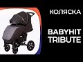 Видео - Коляска Babyhit Tribute