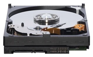 Жесткий диск Western Digital WD Blue 500 GB (WD5000AAKX) - фото 2
