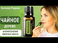 Видео - Чайное дерево эфирное масло 🌿 Применение, свойства и ароматерапия 🌿 Дотерра doTERRA 🌿 #ЕвгенияРодина