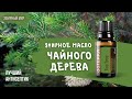 Видео - 🌱Эфирное масло - чайное дерево| Лучший антисептик